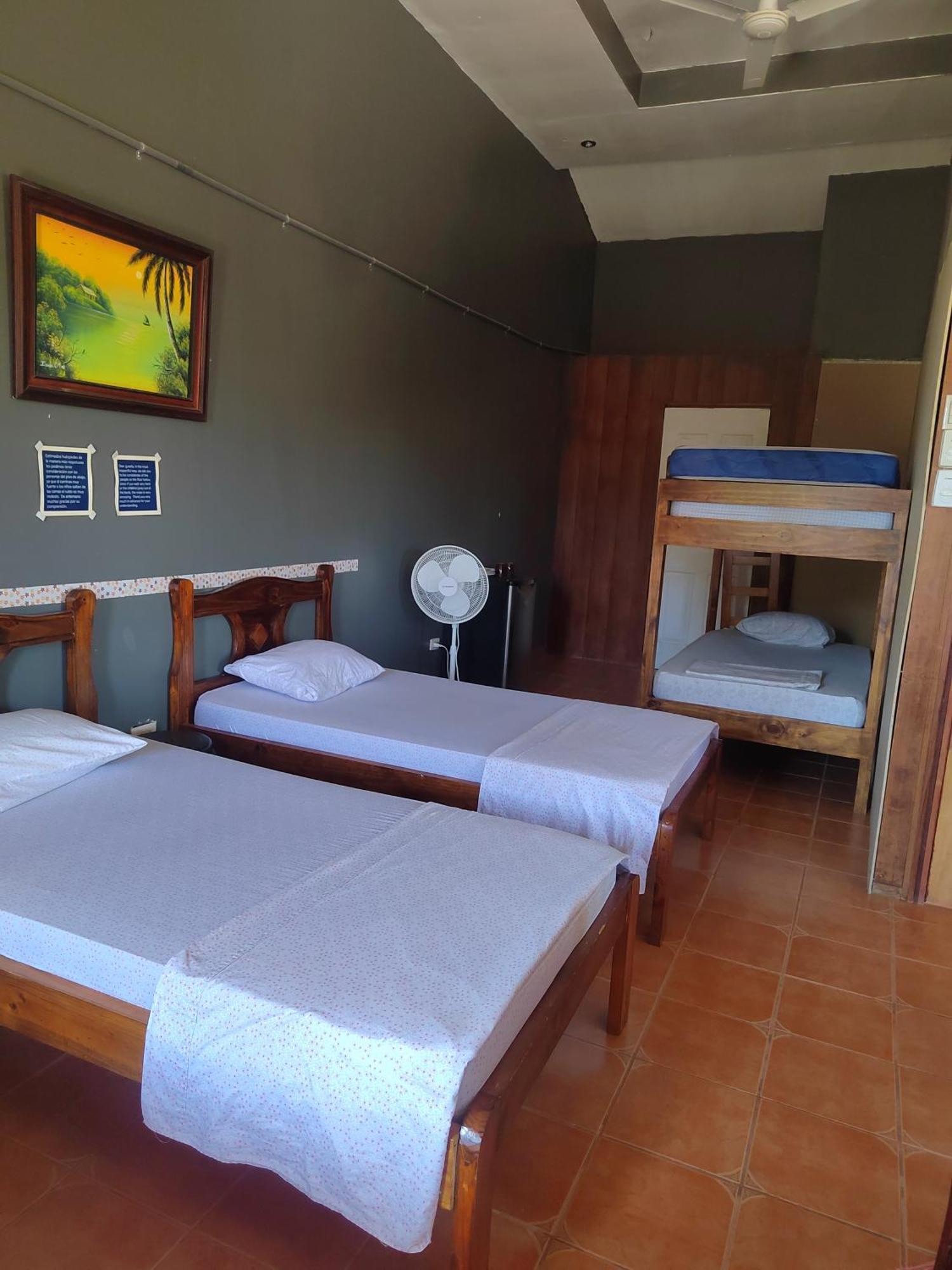 Sura House Corcovado Habitacion Big With Ac Puerto Jiménez エクステリア 写真